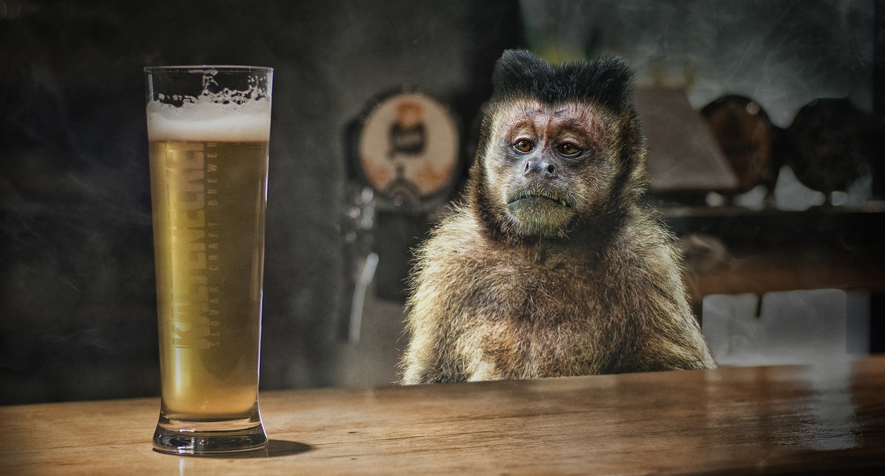 Małpka patrzy na szklankę gazowanego bimbru